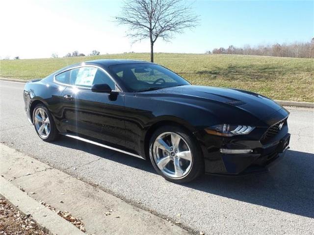 New 2019 Ford Mustang EcoBoost Fastback EcoBoost 2dr Fastback in ...