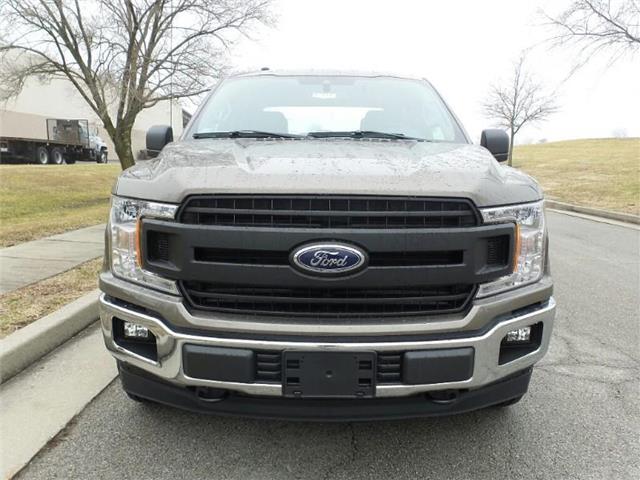 New 2019 Ford F-150 XL 4x4 SuperCrew Cab Styleside 5.5 ft. box 145 in ...